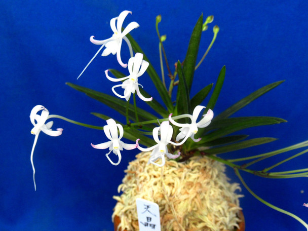 0abf455d-433f-4021-8e73-ab5480bb8fea