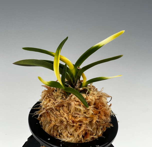 afae80bc-6b2e-4a0c-ac13-5ec31aa448c5