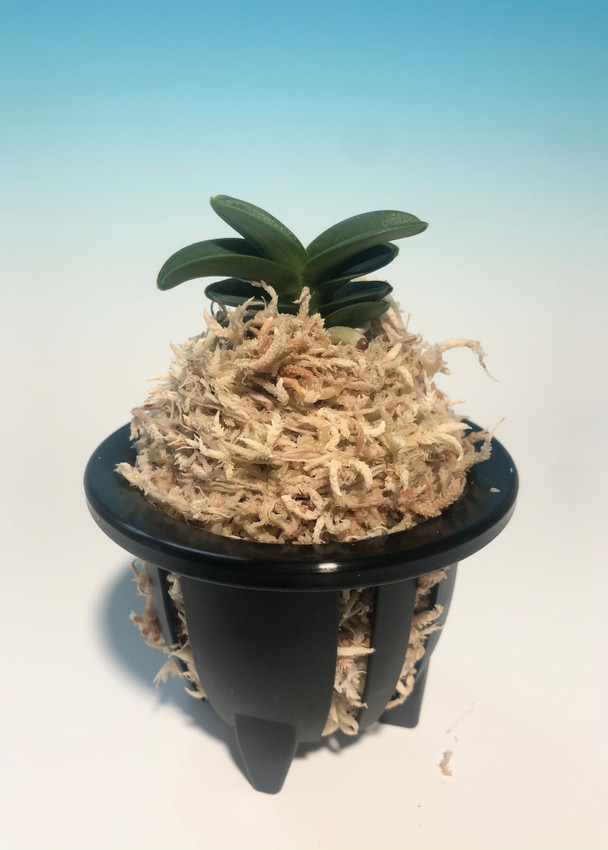 d70dd352-4048-4d80-818f-3915433a5e9e