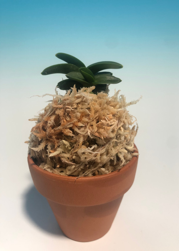 6bb42623-7f02-47f0-bedb-fc3055ca5796