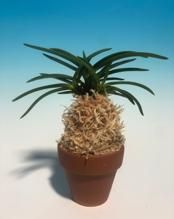 eaa5fdef-a5d1-43c6-aa41-29e344e3594a