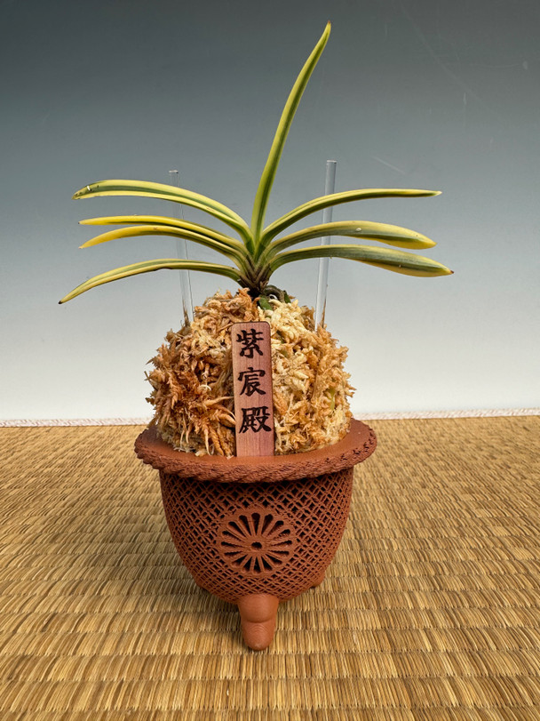 9efc6627-2993-48c8-90eb-85f7a87c4b0b