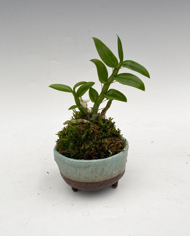 e763c073-1714-47ee-acb4-8e47913e6c4d