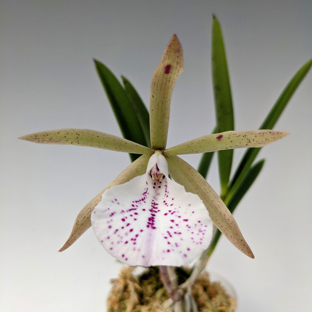 860772d7-b0a0-48aa-9d1e-4db563daac6c