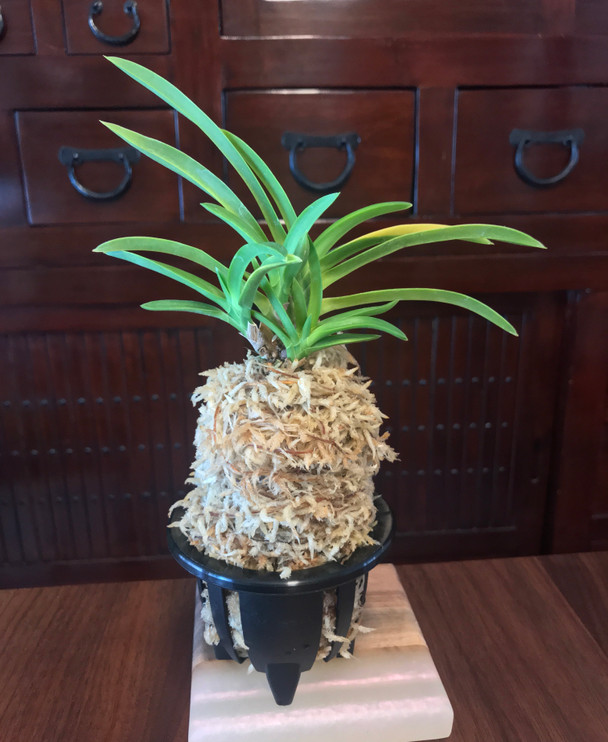 444de838-20ed-472f-a253-3ed54b9510a9