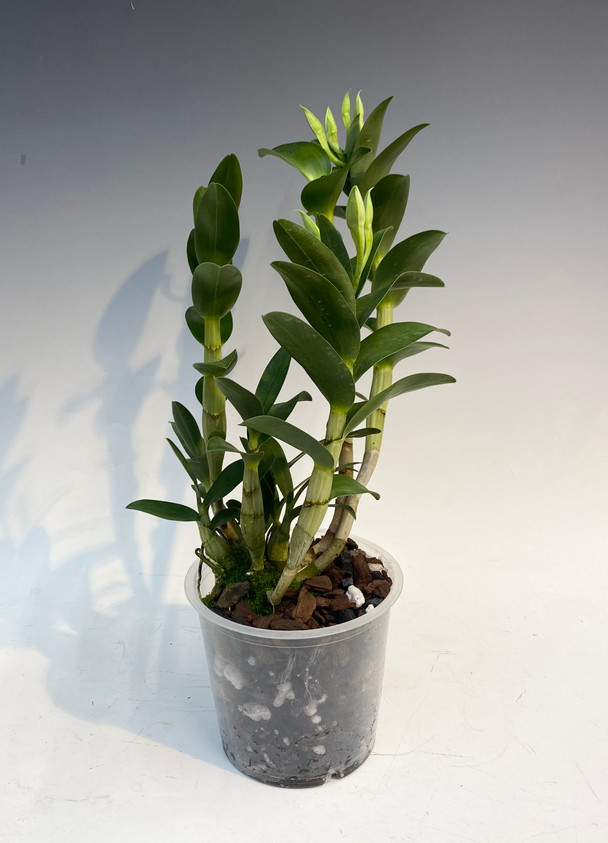 ab7371f2-fda2-4e85-841d-fda07c780bd5