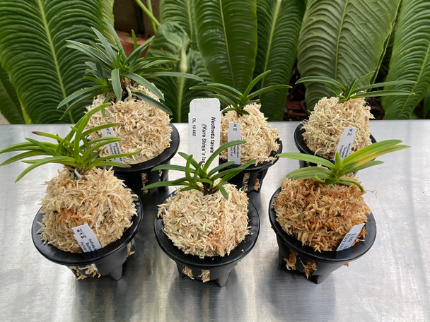 ef9c6b5a-a8c5-4c94-b164-2d2ab6ecaa9b