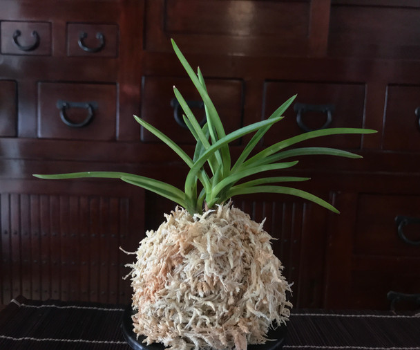 a8ea0525-5df2-4108-8c58-be8cc220ee15