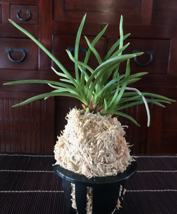 8cf9660a-e6be-46d9-9ec0-43465986eb45