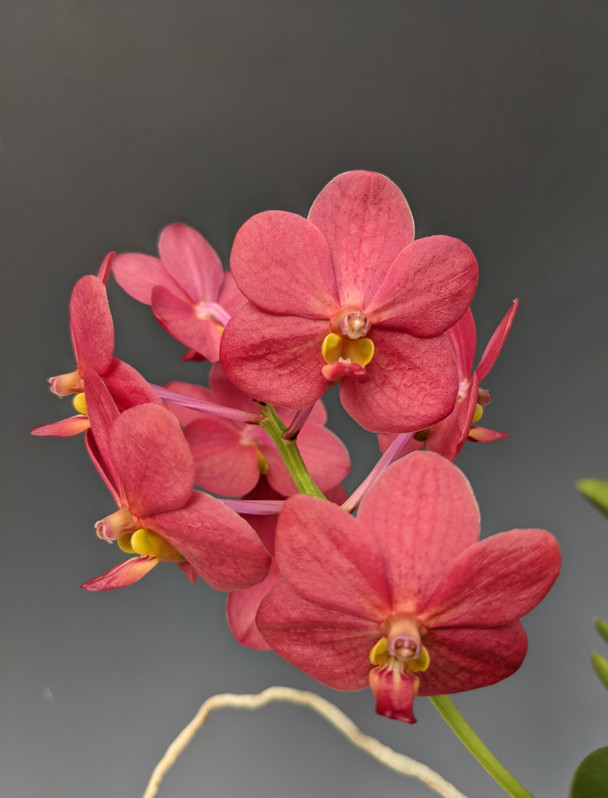 65e89e31-ed2a-4842-88dd-435569e4c95e