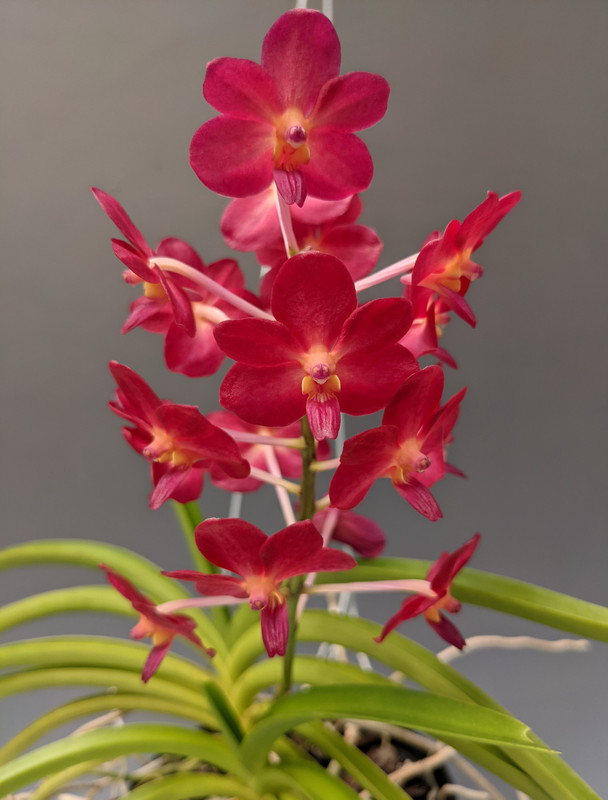 548c53a6-6c99-4a6e-aea8-3da97be6a5e0