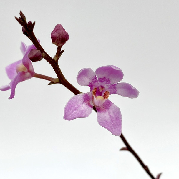 aa55abb0-a97e-4d03-95fb-45b7efa2b3f1