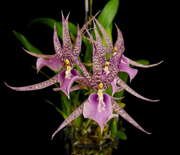 8dde8809-adec-4c8a-813f-88e496c1e543