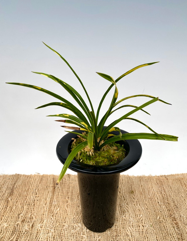 1929720b-9302-4f63-87ed-65c266044b2b