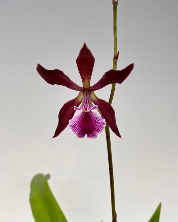 d275ed9e-4c77-4b85-b37a-eb0b434a7991