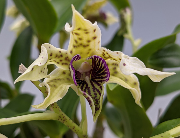 31740cb2-1a2b-4212-9975-35bd27679851