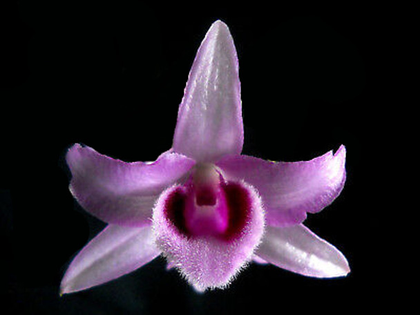 8593117c-f66c-4edf-89a6-ffad837a6469