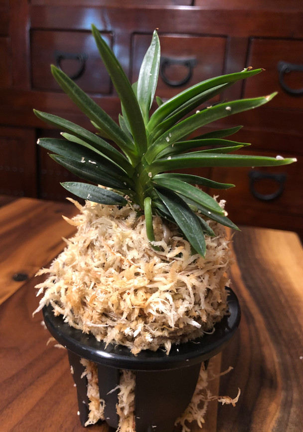 b5f86144-9360-4d4e-8974-52fccd18b313