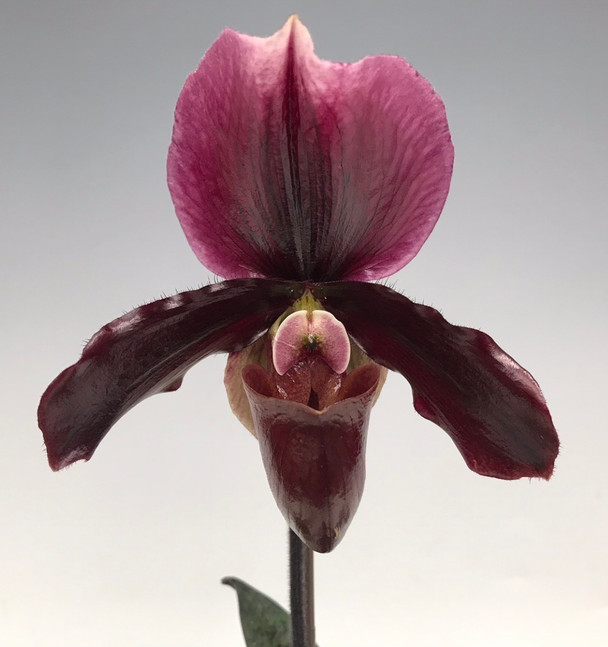 0023ce84-ce90-4d38-8fd8-fdd00b0ecfb8