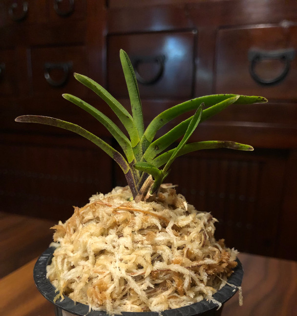 a425a3f5-dd52-4360-a9ad-837a9ee78ae4