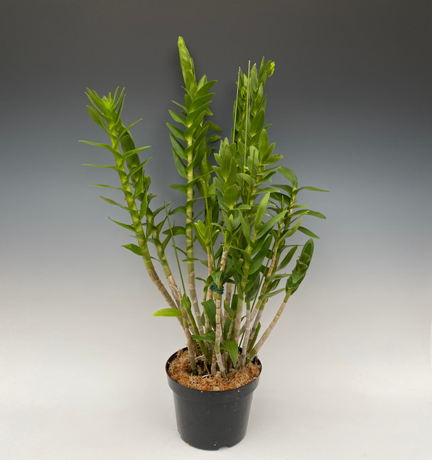 71edfb1a-7faf-4ca8-9cbe-26c4b7cf3626