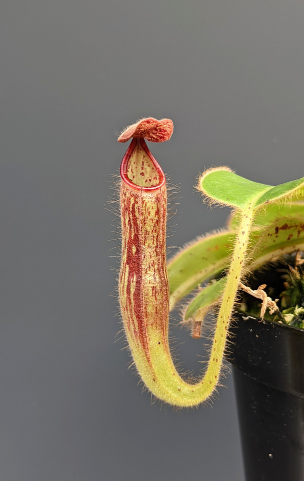 3428232b-d97c-4621-9431-84f11017da55