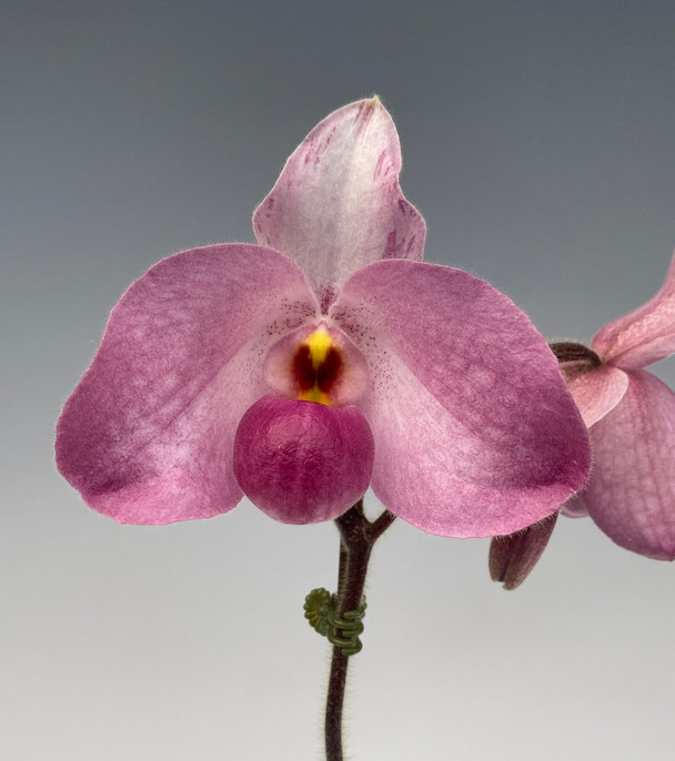 6816ec38-1bb3-421e-a630-f9b86a4d0666