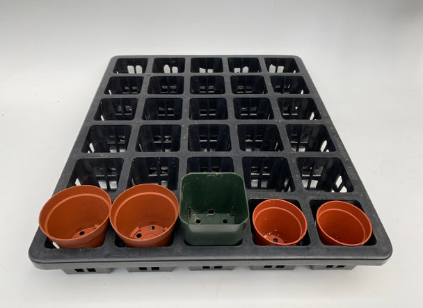 d1e85b8d-6335-4bb3-98f3-af4e195a34c4