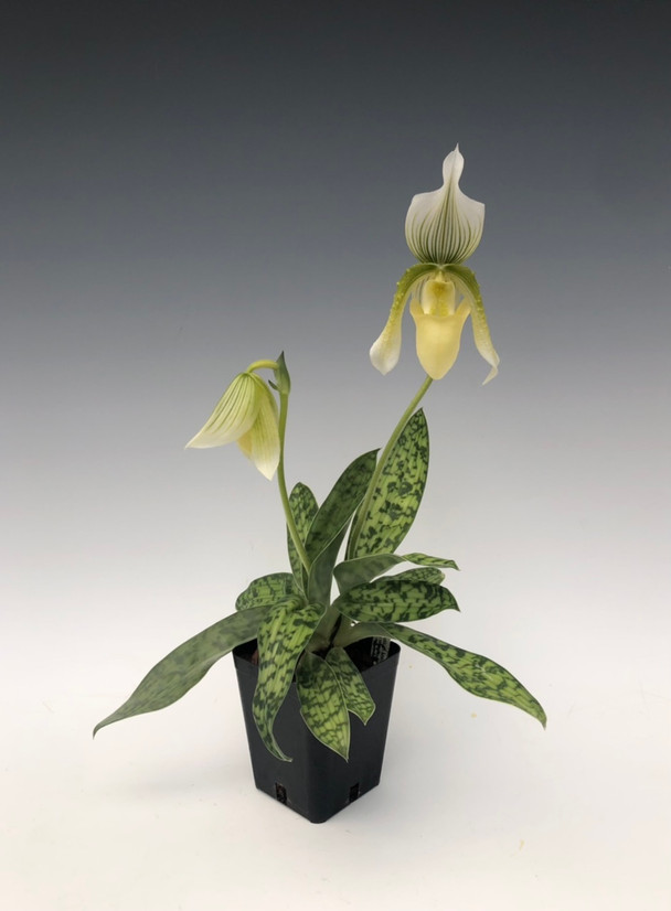 a3addb2f-65c1-455b-8ecd-44f130c29402