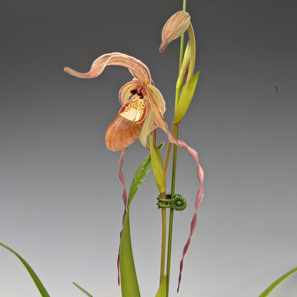 30b0cd13-5676-4ad5-9409-0e323ed11c1f