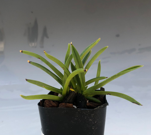 73335600-69e2-40ee-85e3-ea6c5a2cbcc0