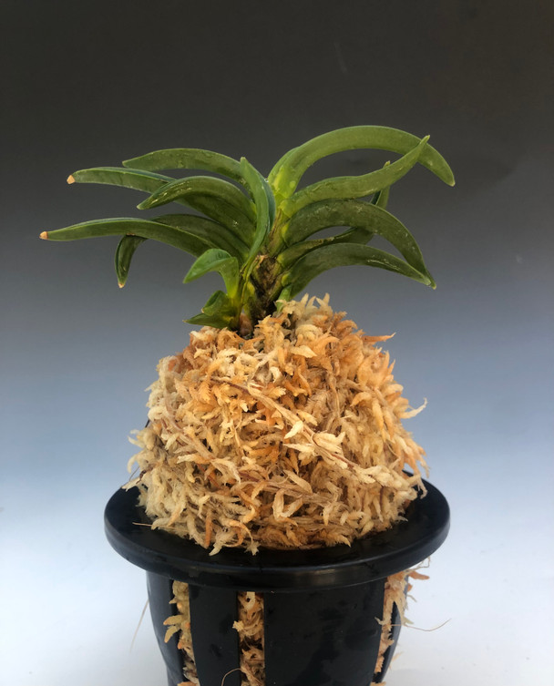 7bd7d52d-7251-49d4-9db4-a8094c543d5f