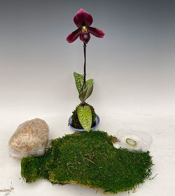 1c15c220-a1e1-49f3-882b-2e806f6fabaf