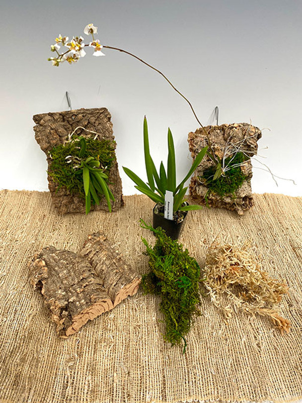 640e7fd7-61e2-4016-9e7b-c897a6164a71