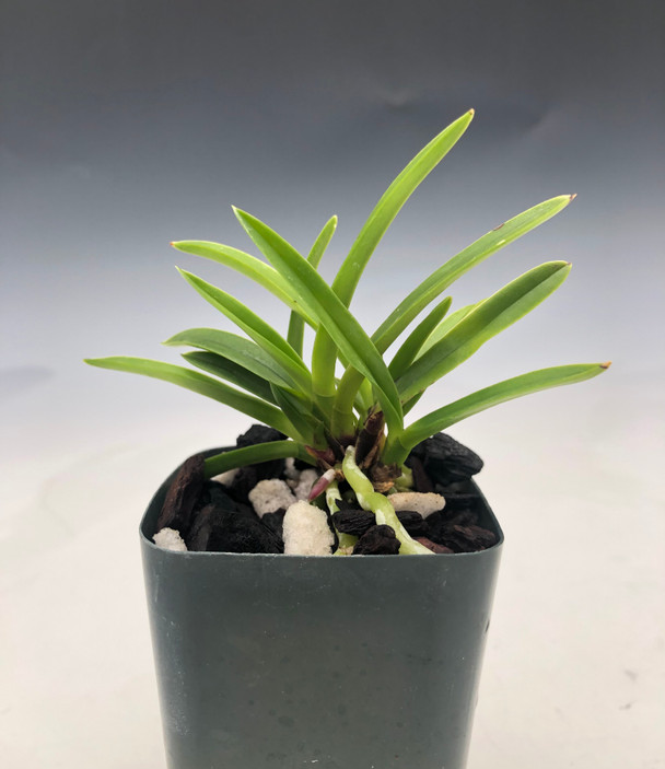 d68d5644-74a9-4180-8d0e-26dd9f229308