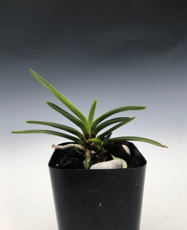 66d63b9c-7df2-4fae-a7e8-14fdf53ad68b