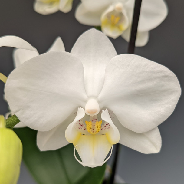 6b9e21bf-97f7-44fa-8071-8afbf0722564