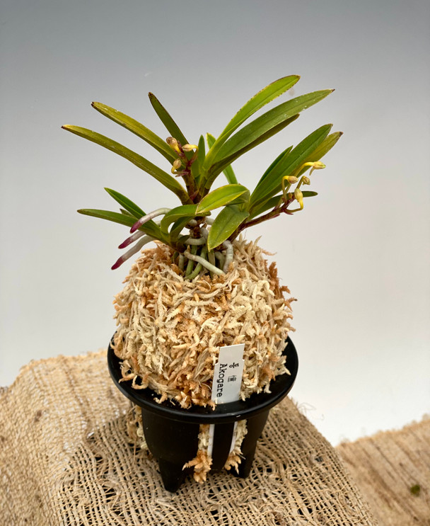 577eed58-f781-48b6-9bf6-a61f0cd33f07