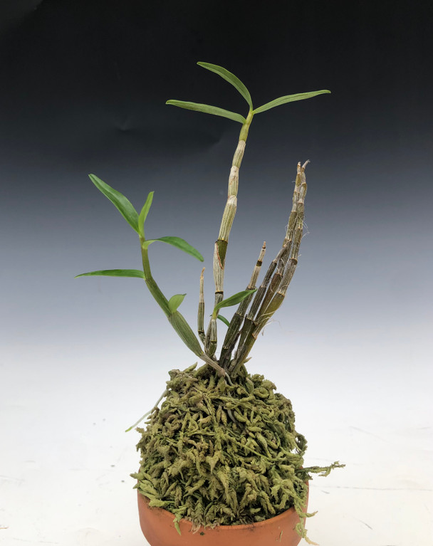 f6749602-4131-4700-83a6-4027be50db6c