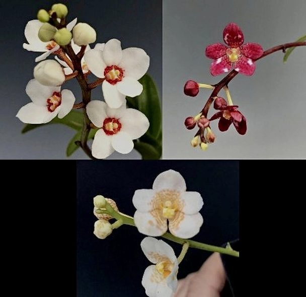 bf6b1f33-e0da-4529-8448-d981e640cd1b