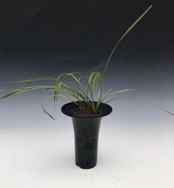 61168dd1-502d-4435-b274-a24cabefacb7