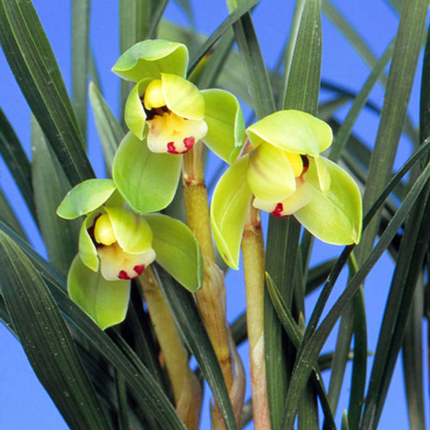 24b0430e-7133-4068-9c02-6c92fff51572