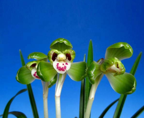 6bf25873-5c49-4aa9-a2f0-2a6f17ac1b7f