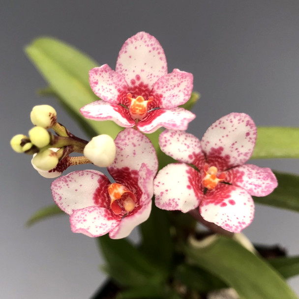 02571820-cb60-48a1-ae62-9a5cba939362