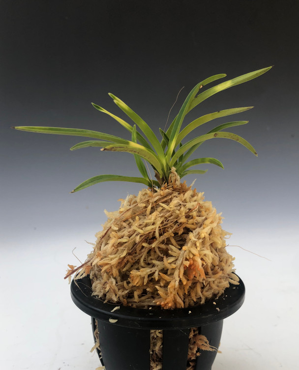 60049bc4-8916-49b4-9b0a-99f4c7ac990d