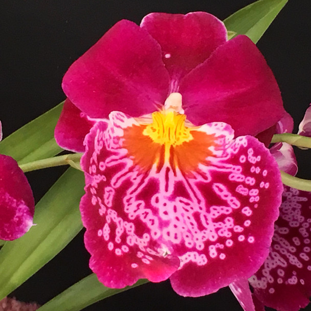 c096896b-75db-453b-b56a-fa0ea2f656df