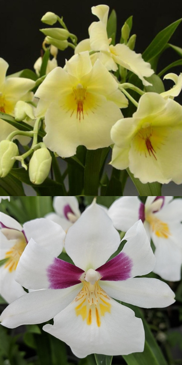 067876e9-cdac-4011-bd4e-5e5e75fcc169