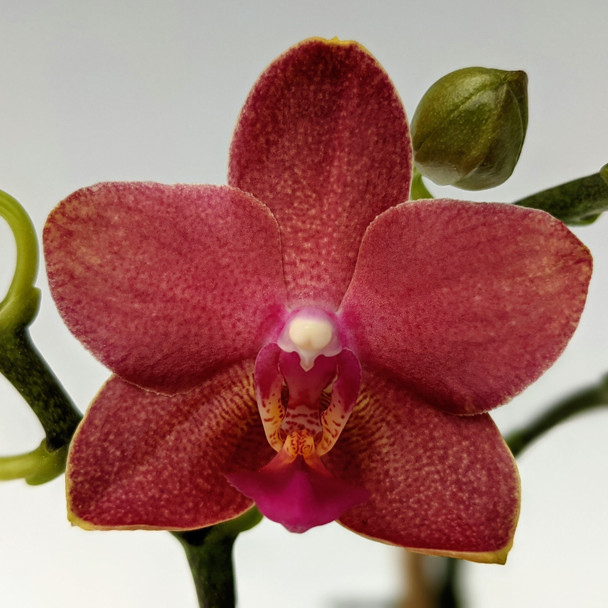 3aca1ca2-4db9-4e85-8c8d-b1dcbbe82e84