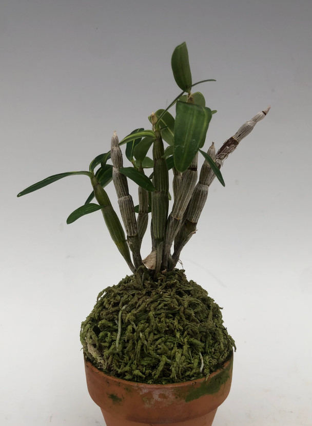 eb736b72-895c-4fde-9b63-dd313b2d6895