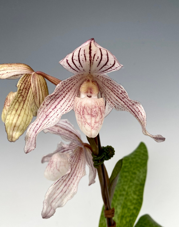 05ad9eeb-3e72-447b-a9f8-2ba7778e8146